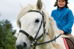 Horse rider