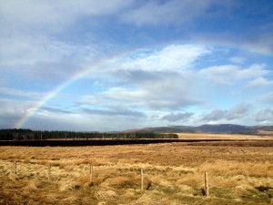 Peat Moss Rainbow