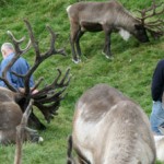 Wild Farm Walks Tomintoul