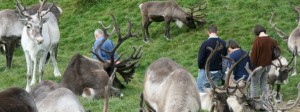 Wild Farm Walks Tomintoul