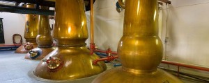 Cragganmore Stills